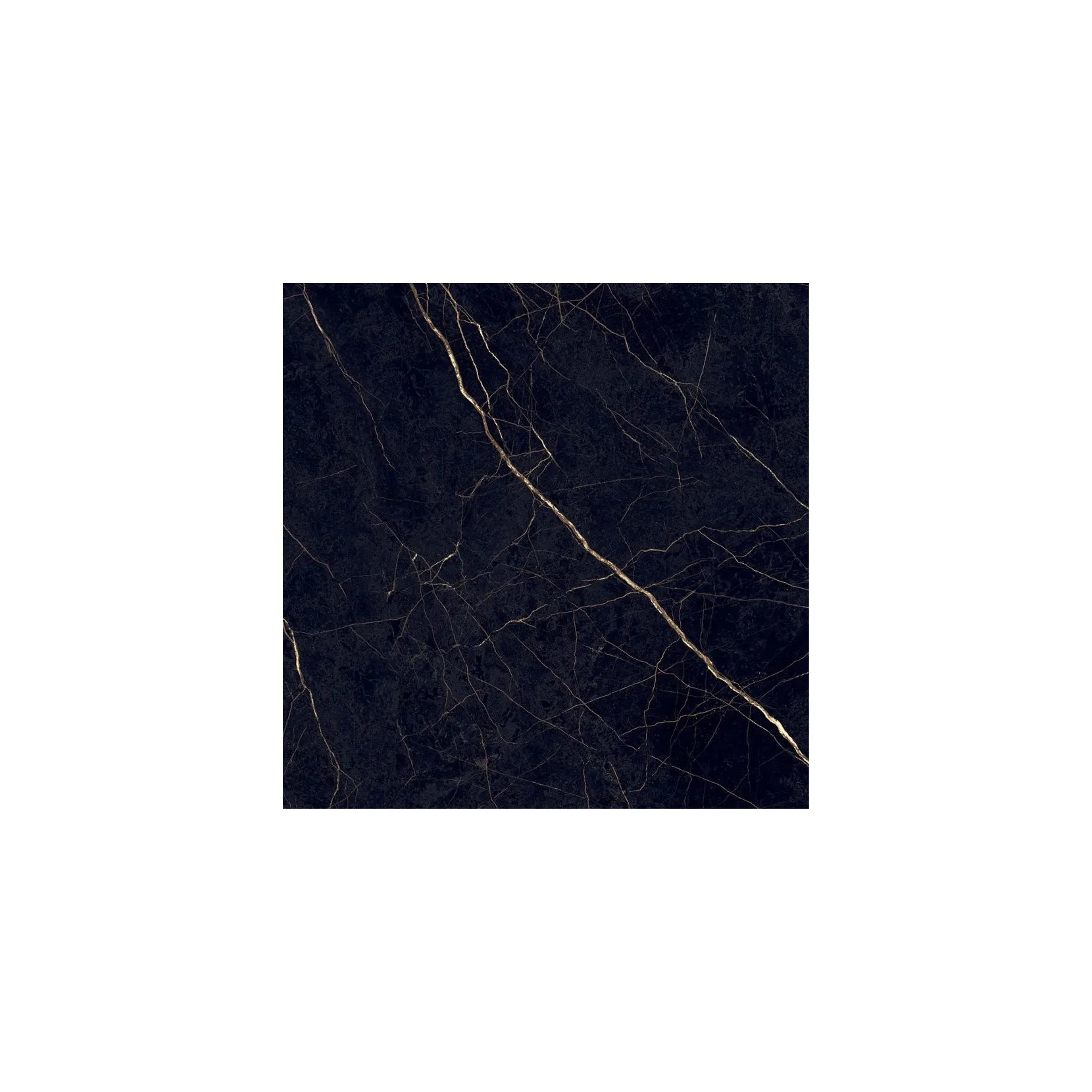 Af762d41f9dd64877a21d7c860a384242P